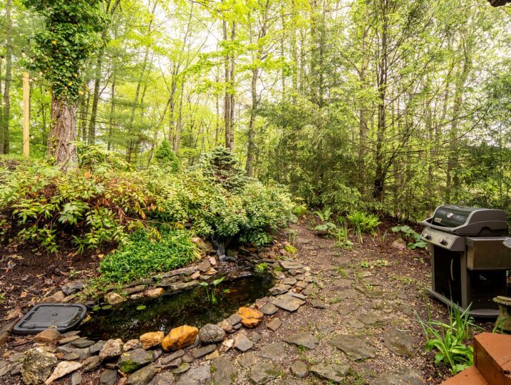 Backyard of a log cabin