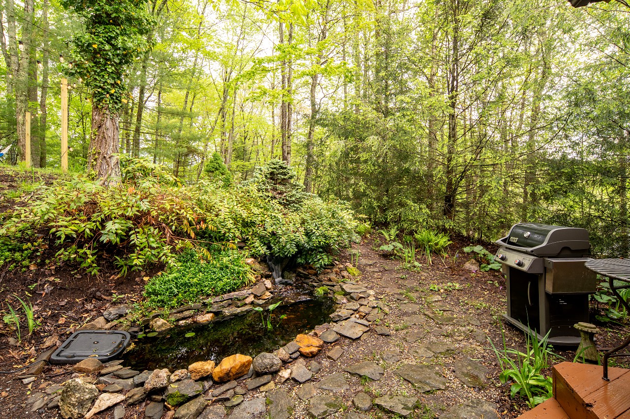 Backyard of a log cabin