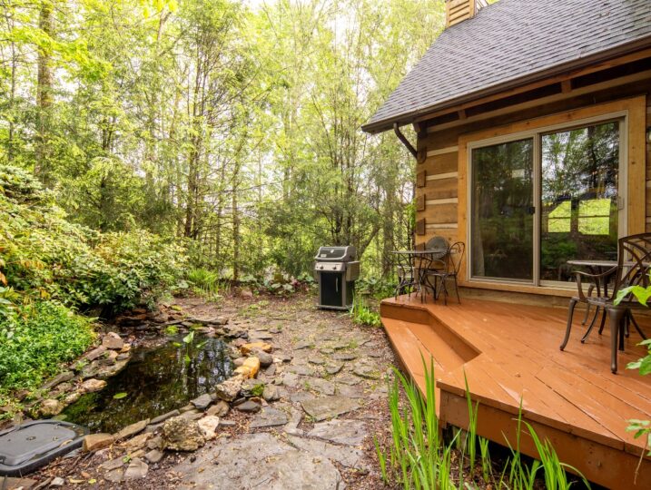 BBQ grill in a backyard by a deck