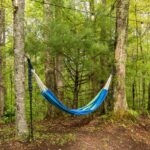 Hammock in the back yard