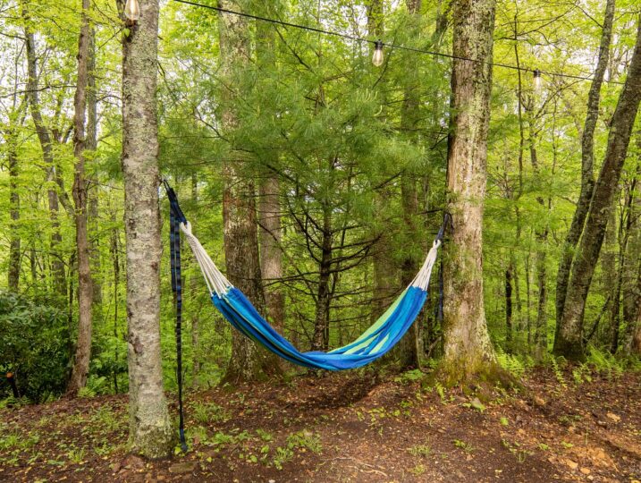 Hammock in the back yard