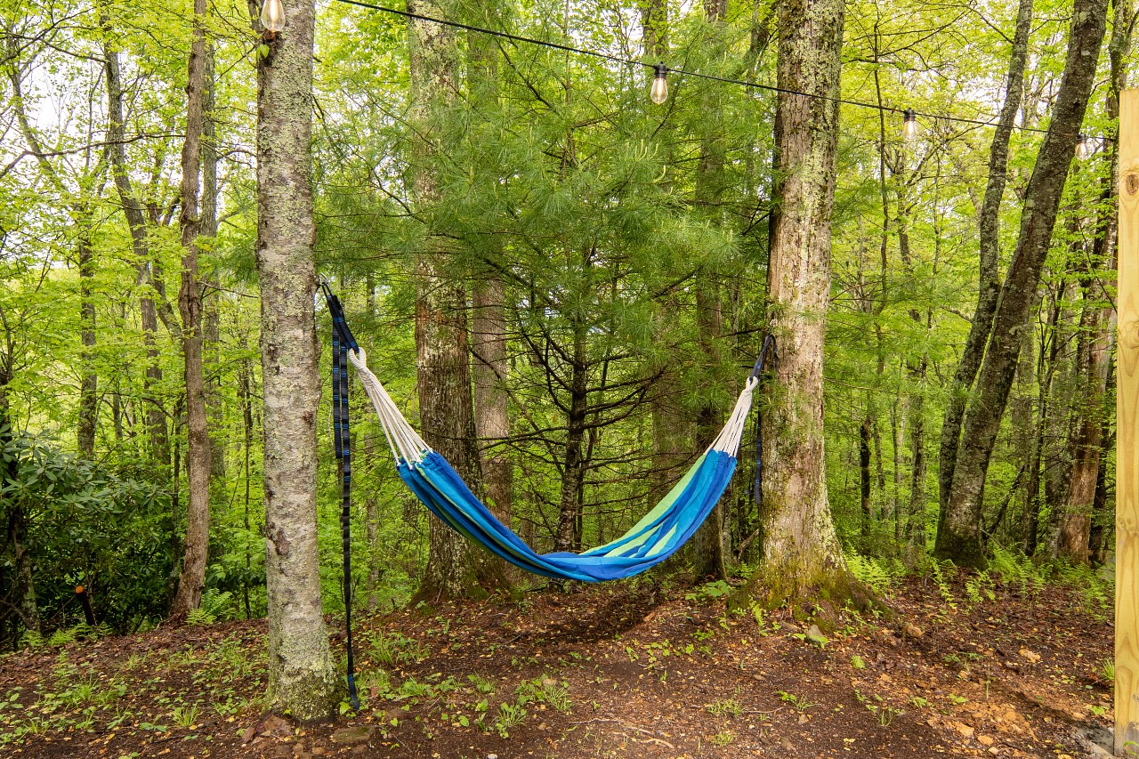 Hammock in the back yard